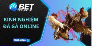 KINH NGHIỆM ĐÁ GÀ ONLINE TẠI I9BET