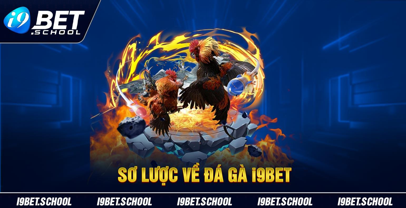 Sơ lược về đá gà i9bet